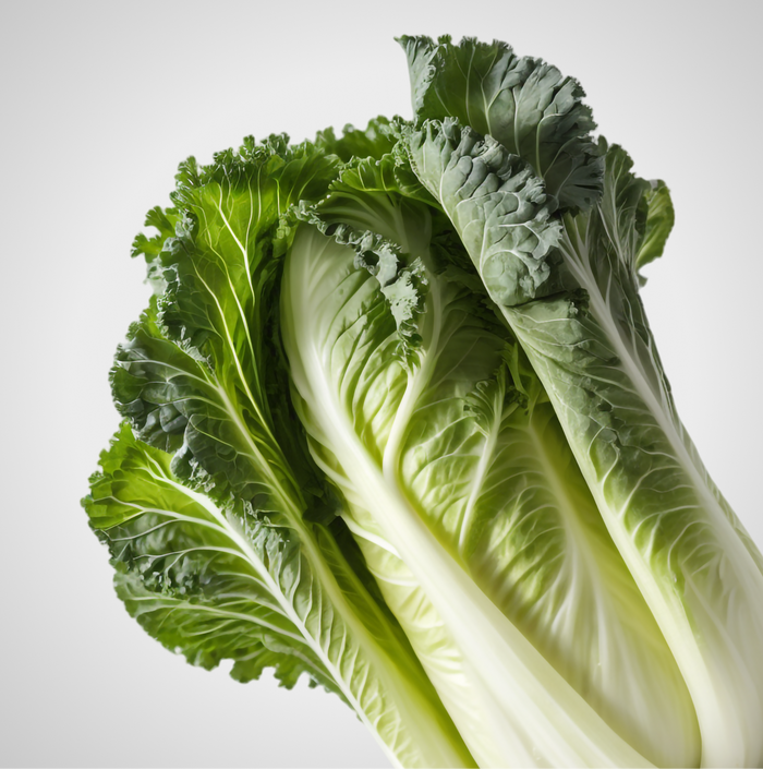 Postbiotic
