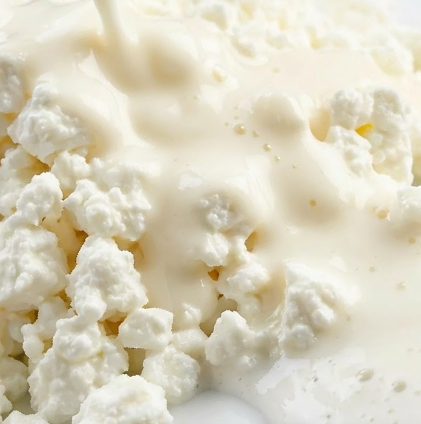 Live Probiotics: Supporting Skin From the Inside Out