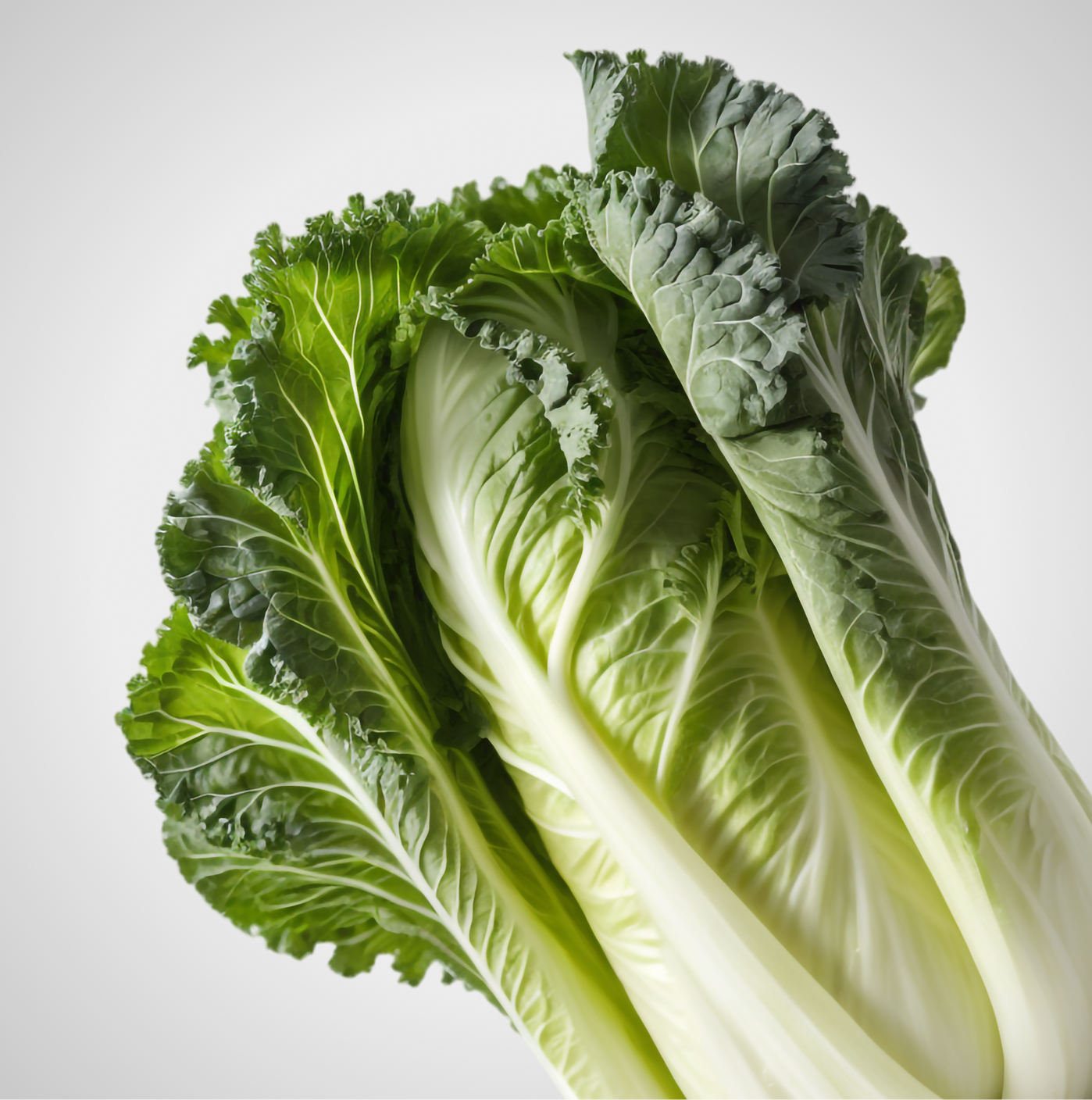 Postbiotics: Calming and Stabilizing the System