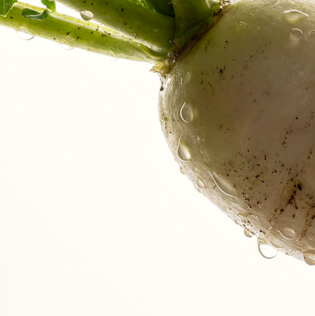 Postbiotics