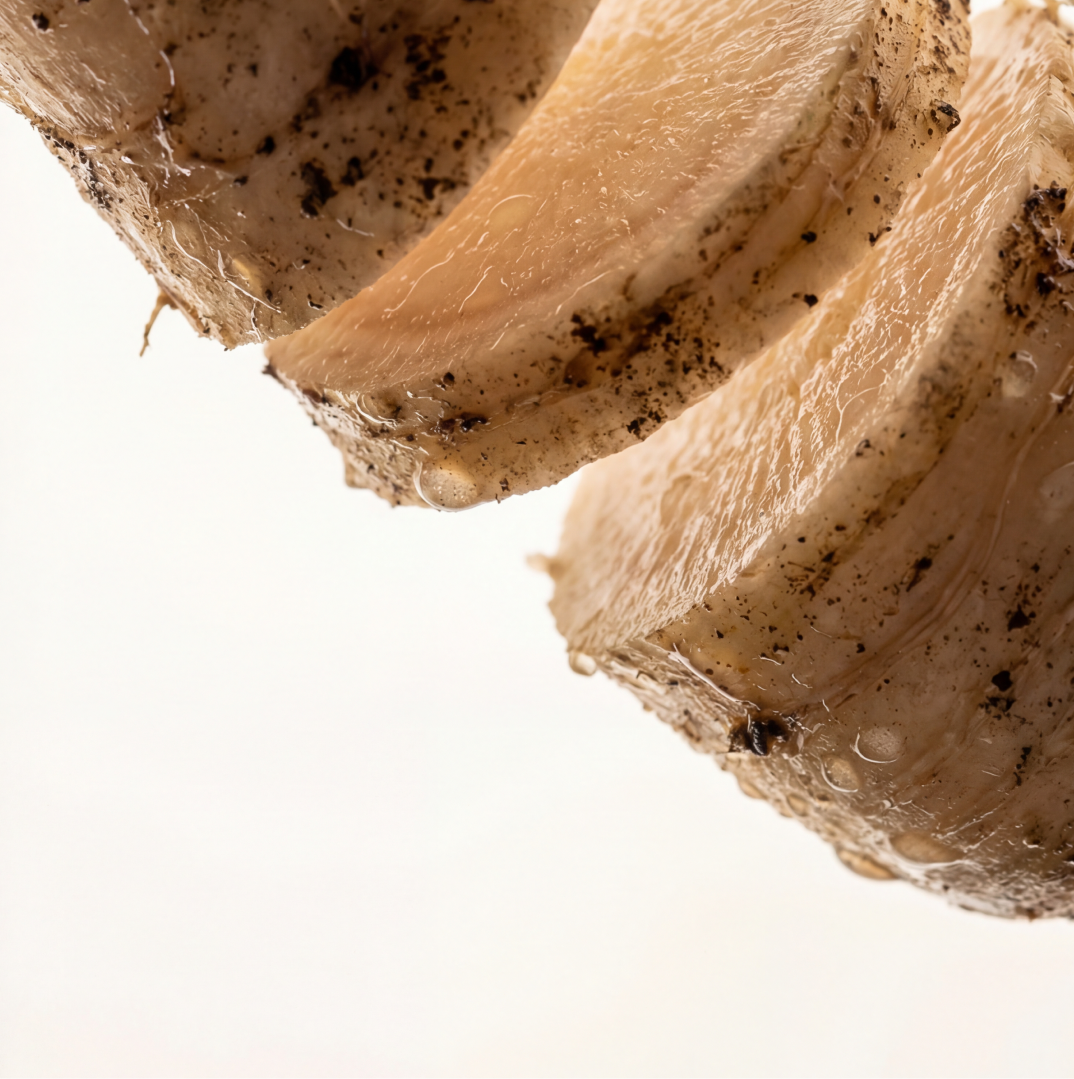 Prebiotics