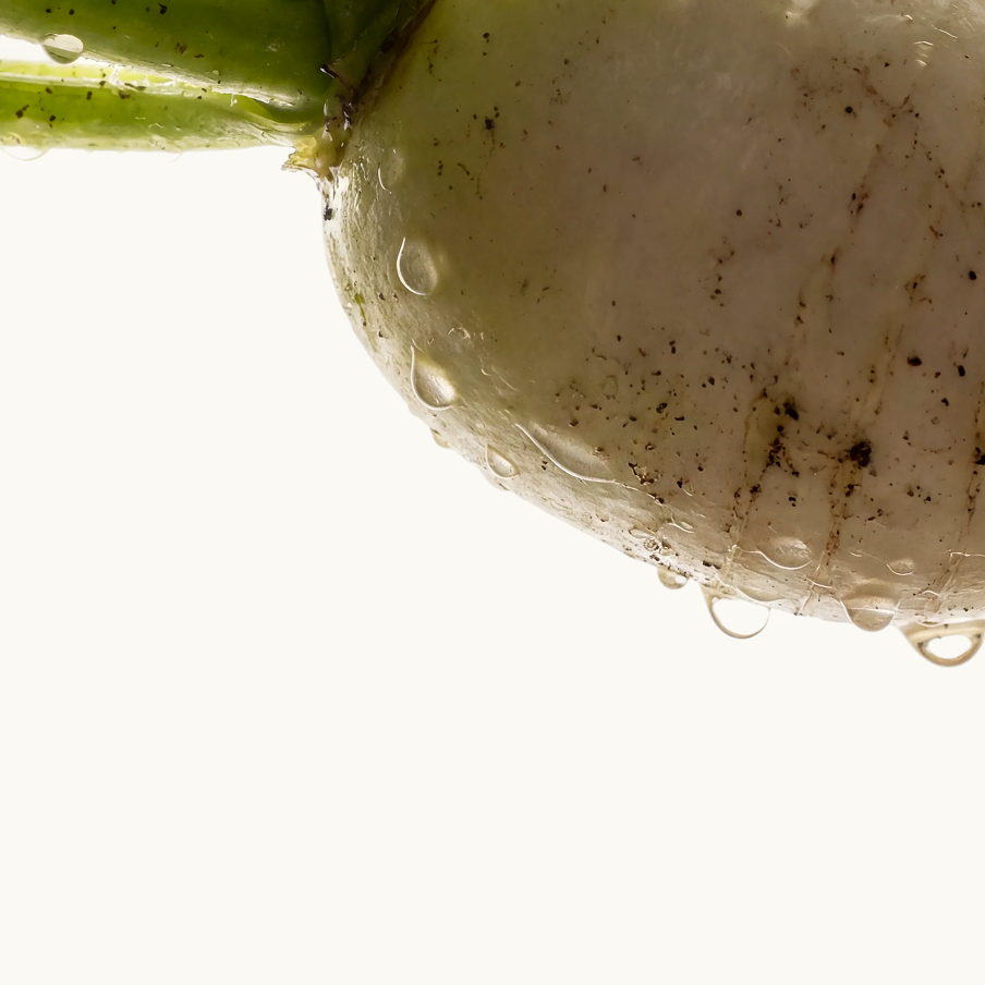 Postbiotics
